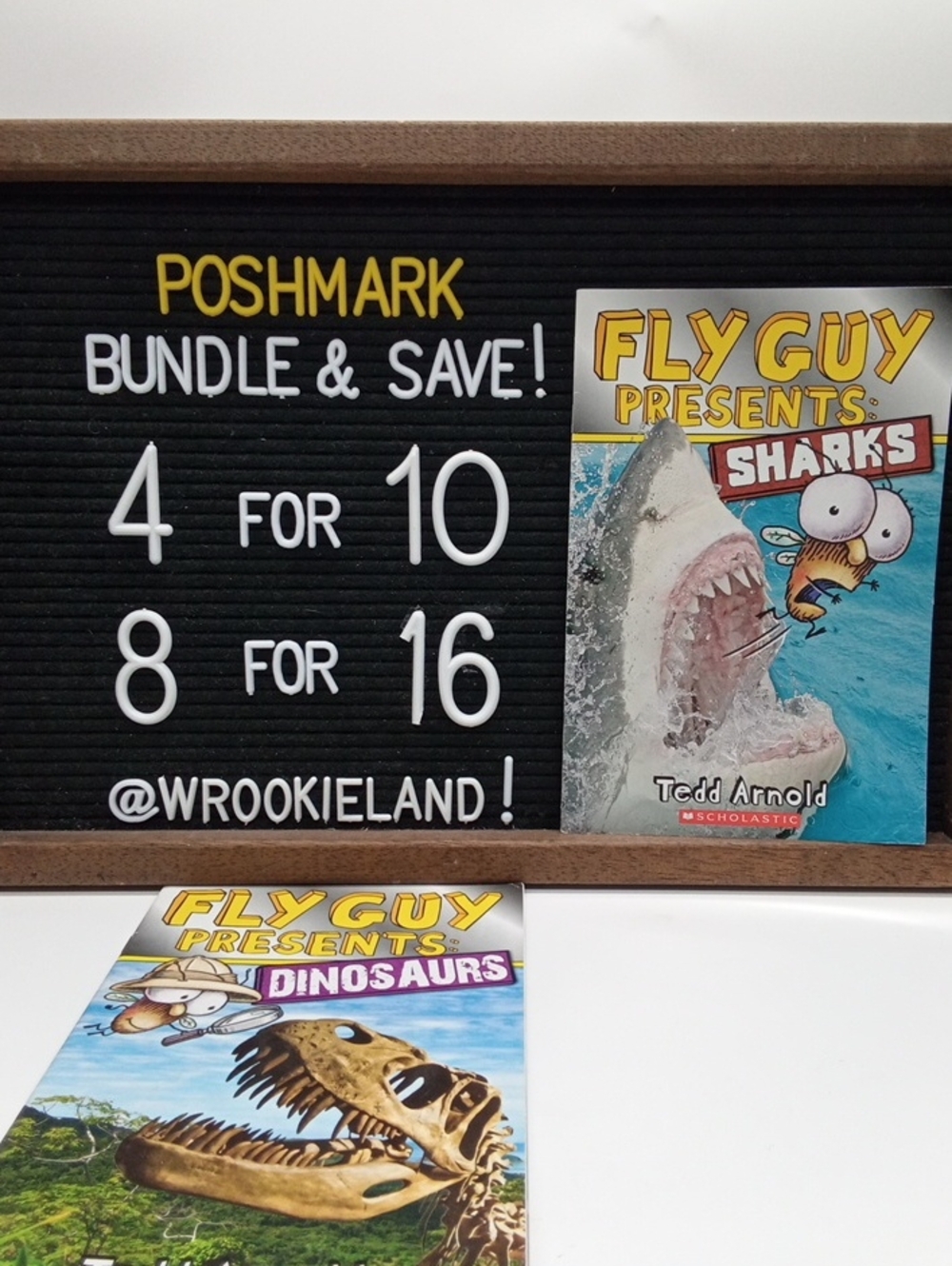 Fly Guy Presents Reader Bundle Book#23